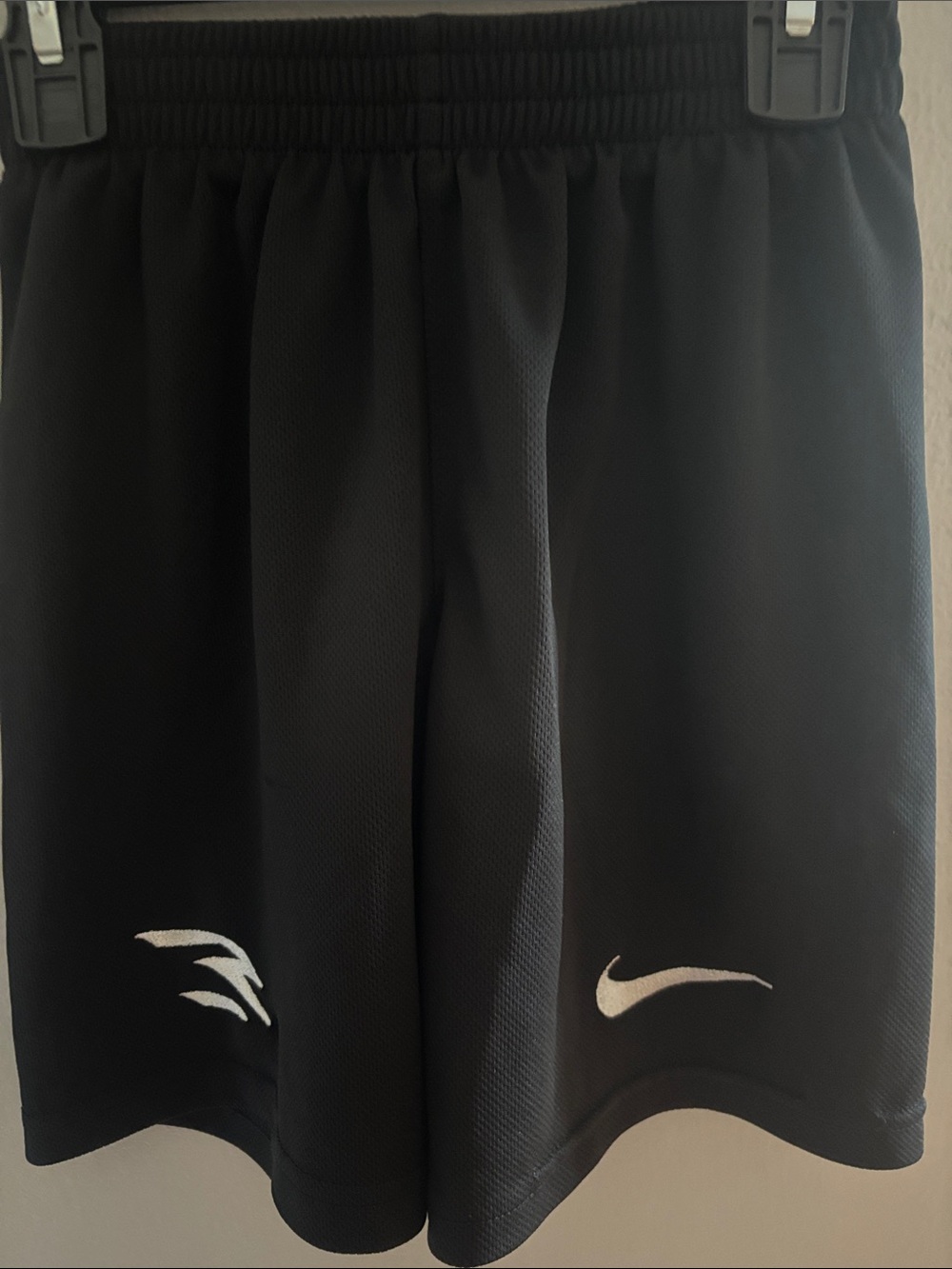 Nike Athletic Shorts